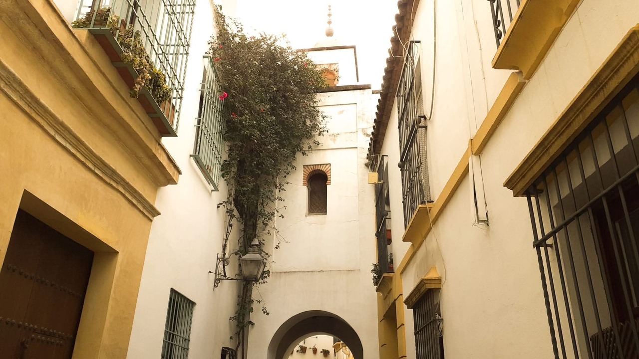 Photo of Others in Pozoblanco