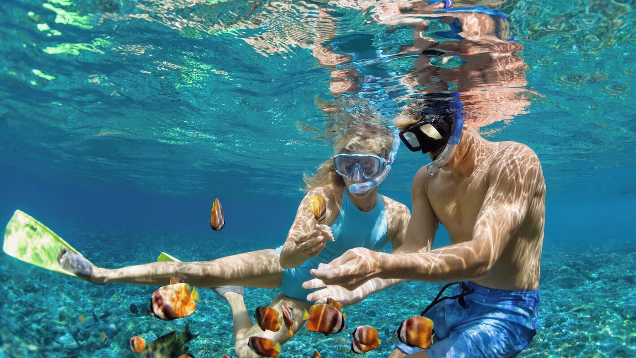 Photo of Others in Uturoa