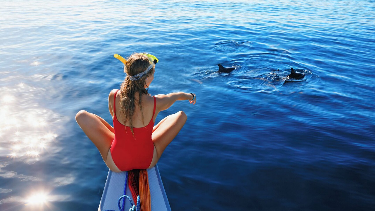 Photo of Others in Airlie Beach