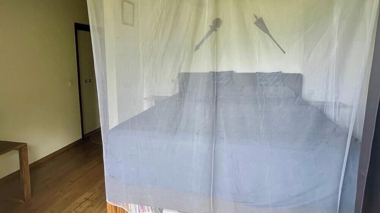 Photo of Bedroom in Mataiea
