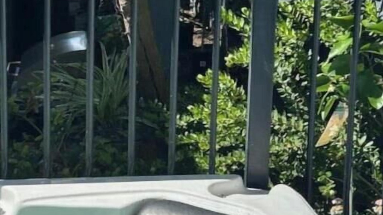 Photo of Outdoor in Sorrento