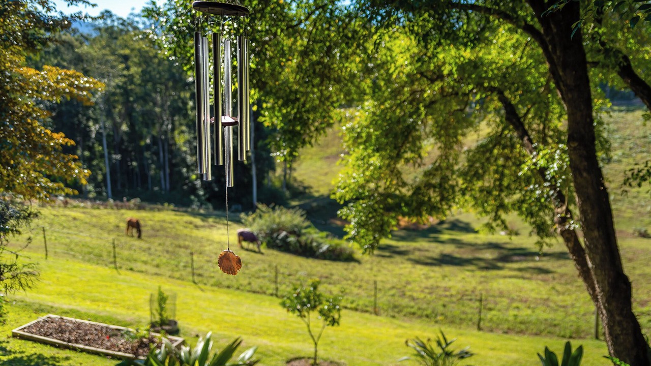 Photo of Outdoor in Bellingen