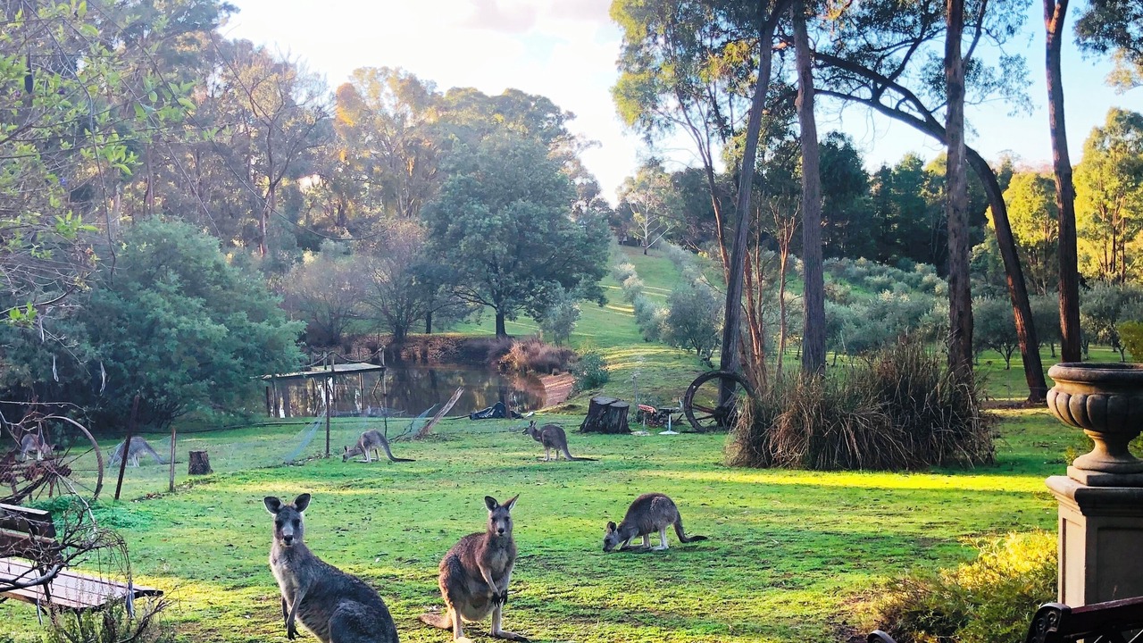 Photo of Outdoor in Hepburn