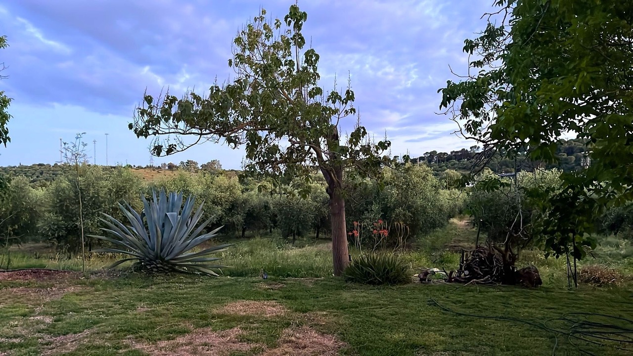Photo of Outdoor in Posadas