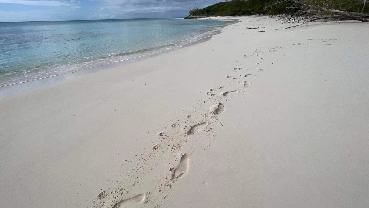 Photo of Others in Cat Island
