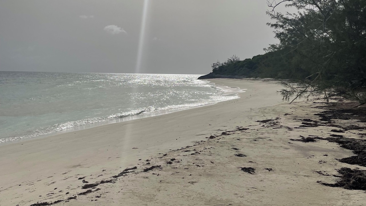 Photo of Others in Cat Island