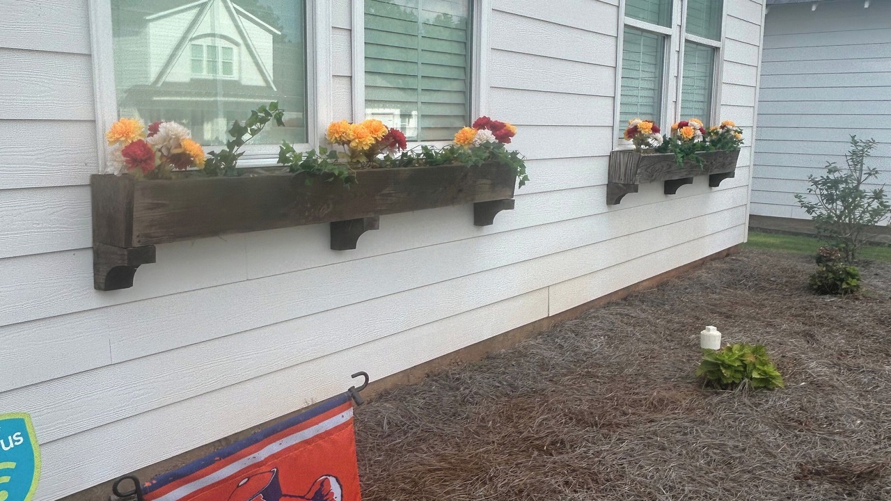 Photo of Outdoor in Auburn