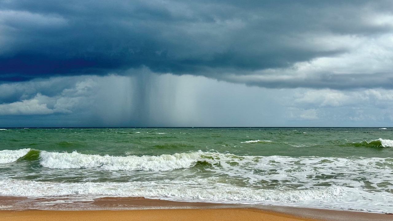 Photo of Others in Ormond-by-the-Sea
