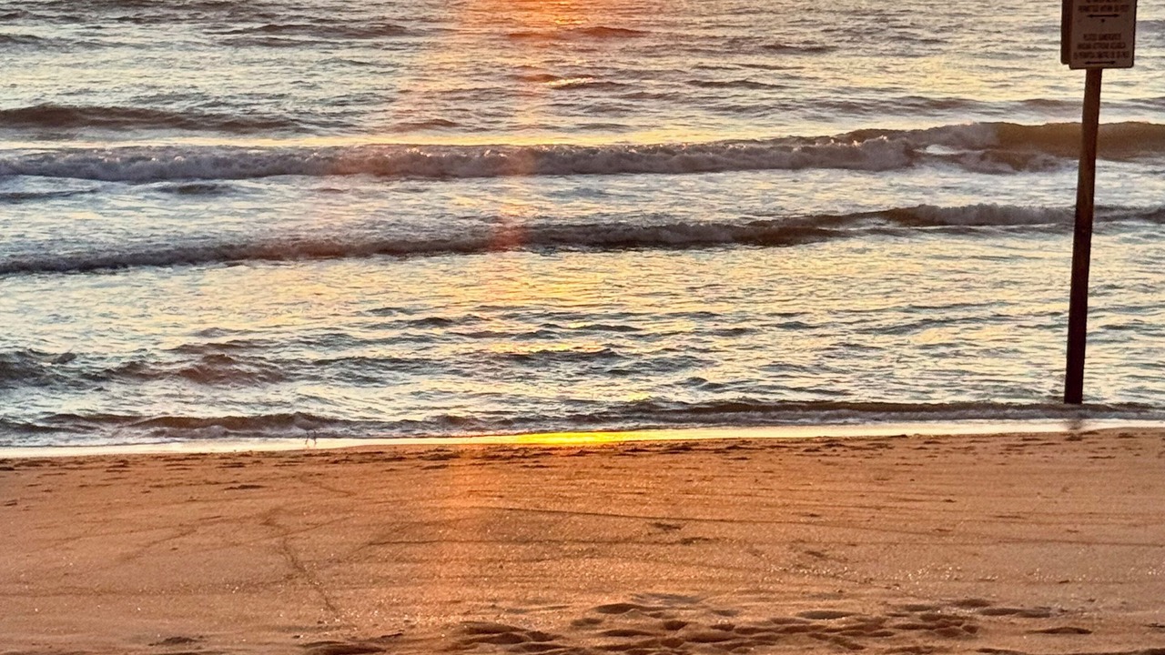 Photo of Others in Ormond-by-the-Sea
