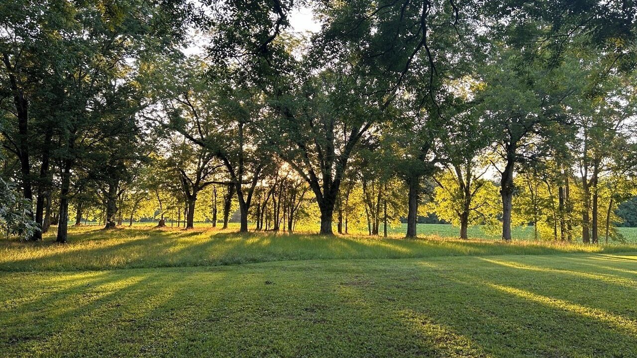 Photo of Others in Marion