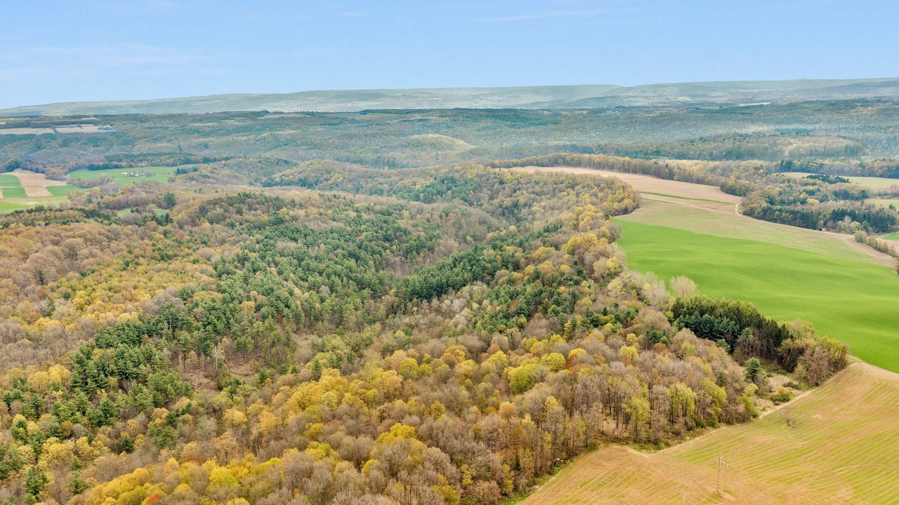 Photo of Outdoor in Castile
