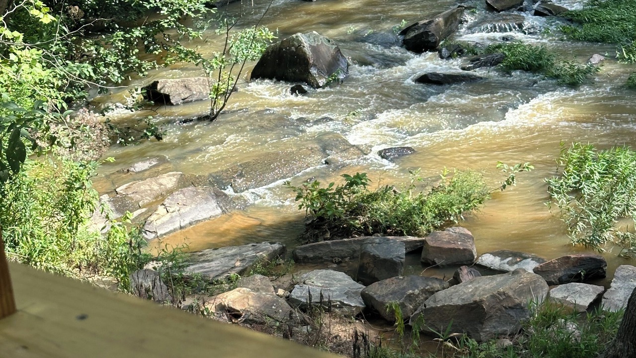 Photo of Outdoor in Opelika