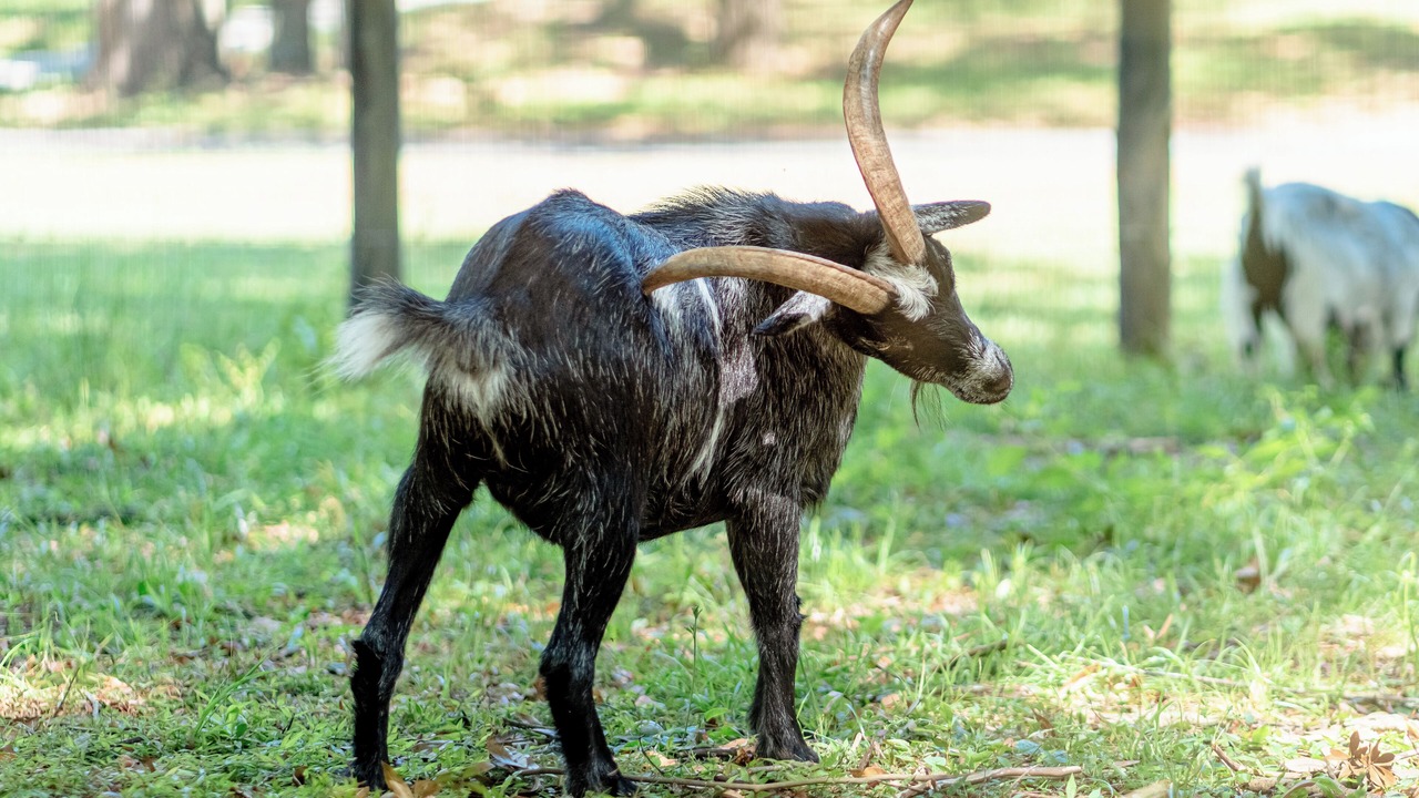 Photo of Others in Ocala