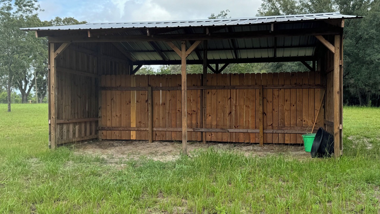 Photo of Outdoor in Ocala