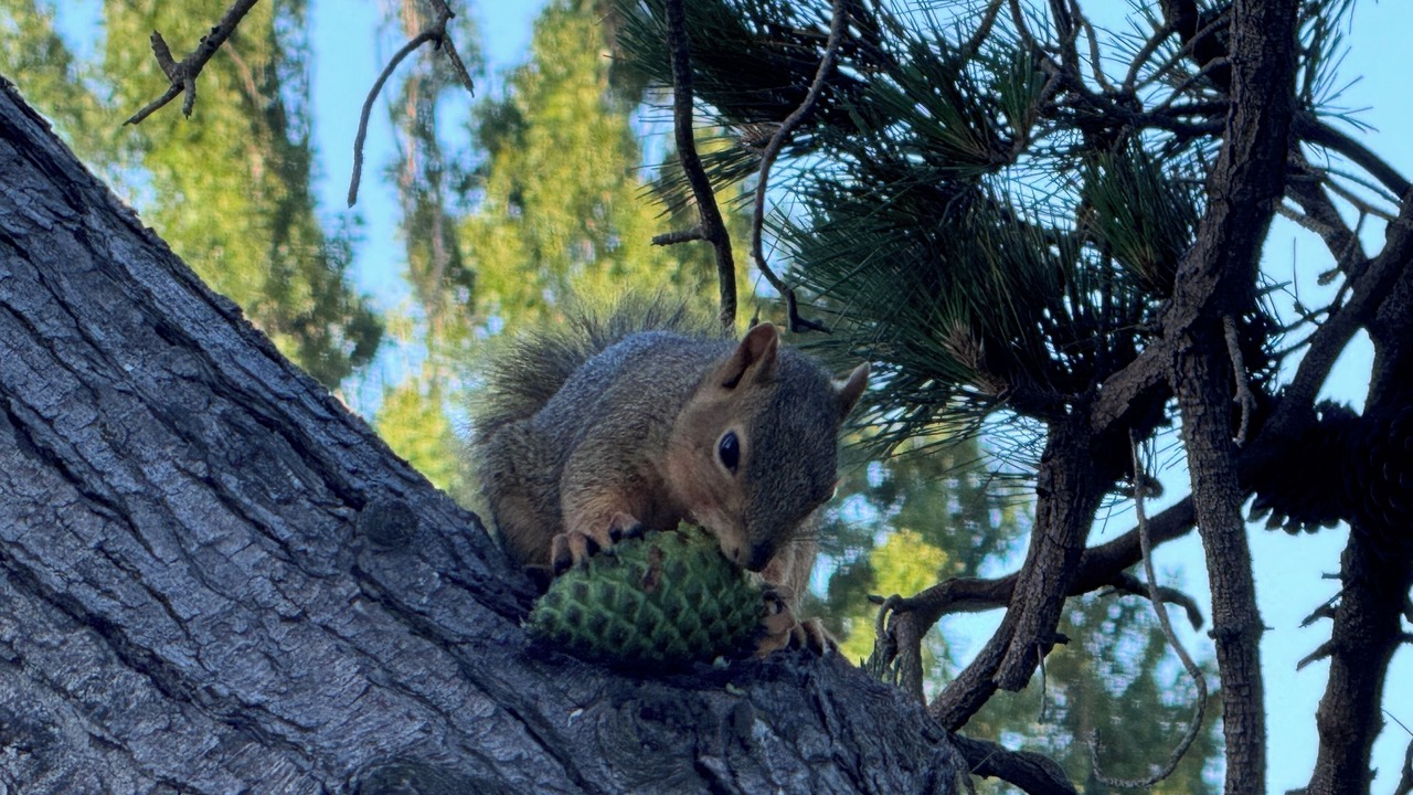 Photo of Others in West Alameda
