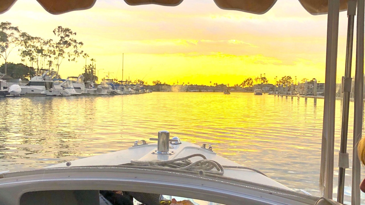 Photo of Others in Harbor