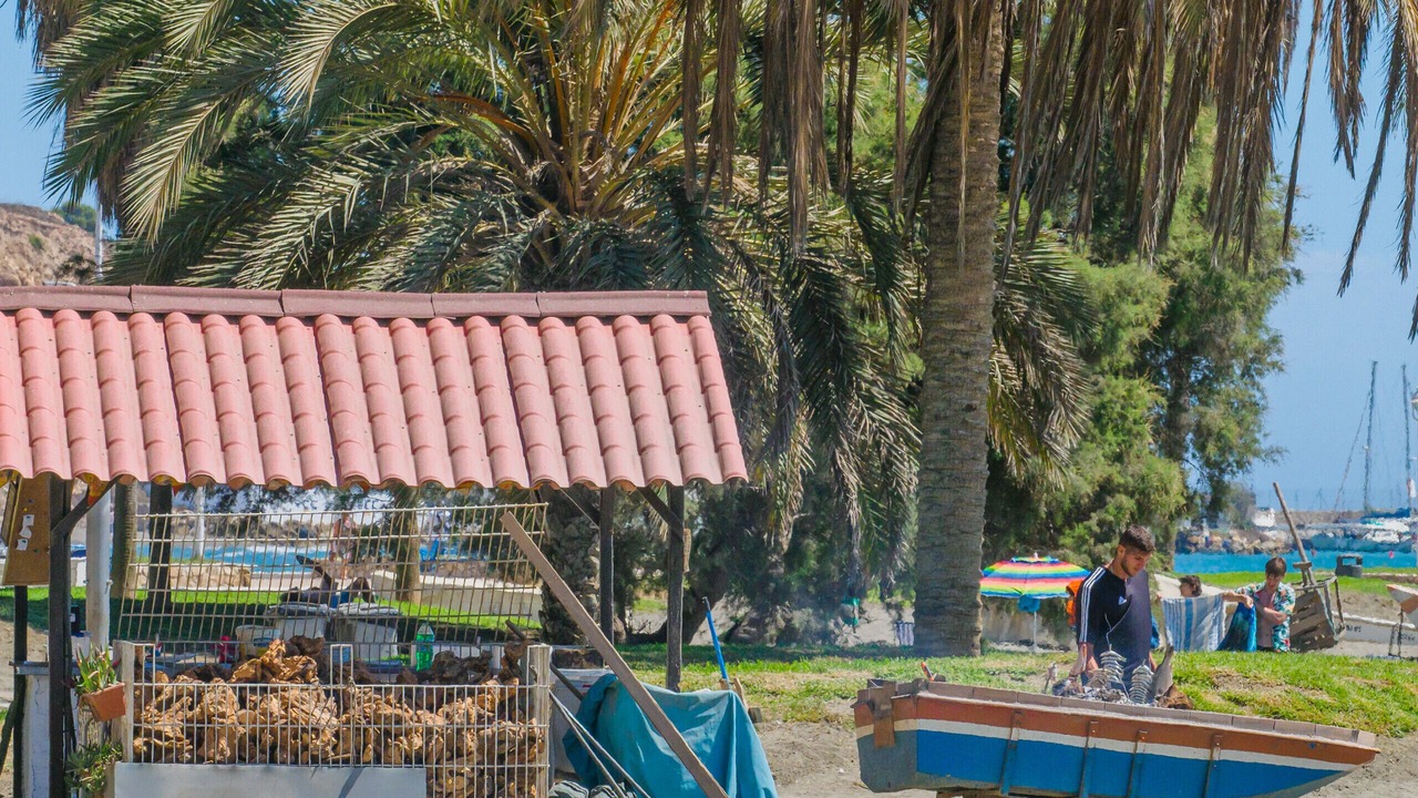Photo of Others in Malaga-Este