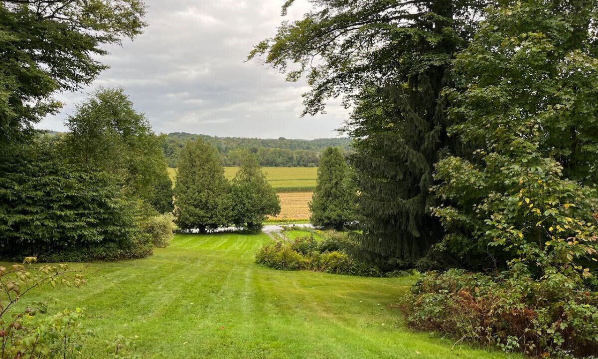 Photo of Others in Dewittville
