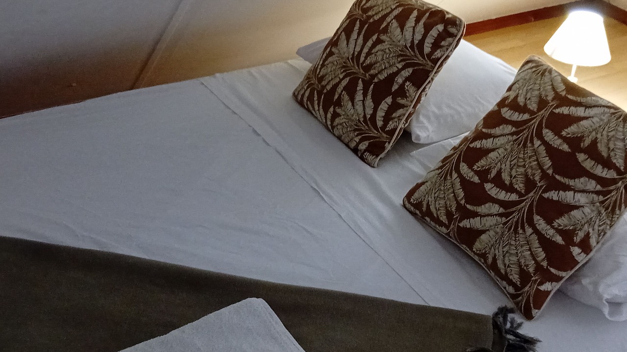 Photo of Bedroom in Faaa