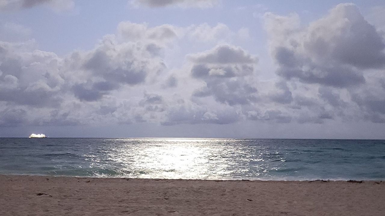 Photo of Others in Hollywood South Central Beach