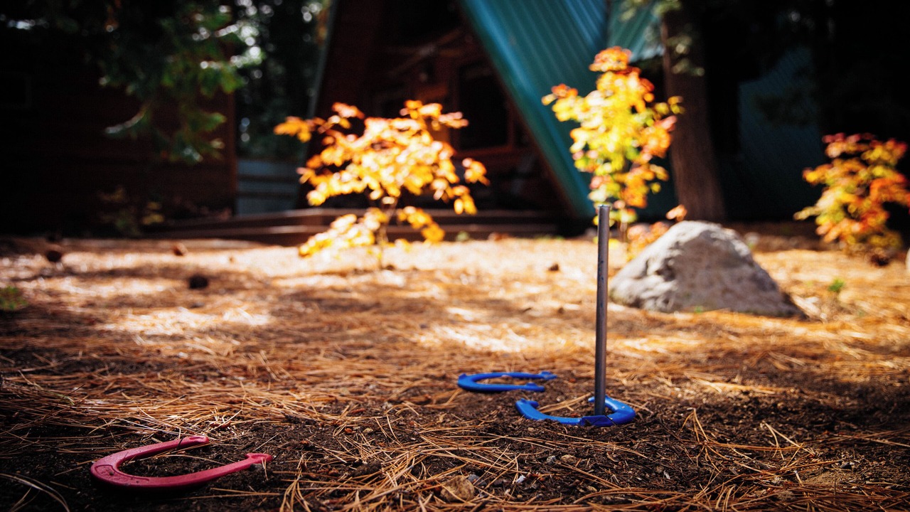 Photo of Outdoor in Tahoma