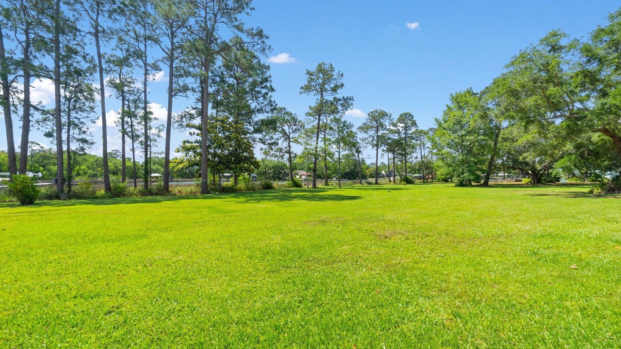 Photo of Others in Florida Panhandle