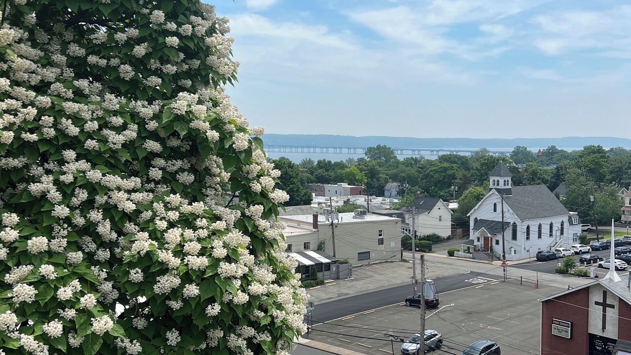 Photo of Others in Nyack