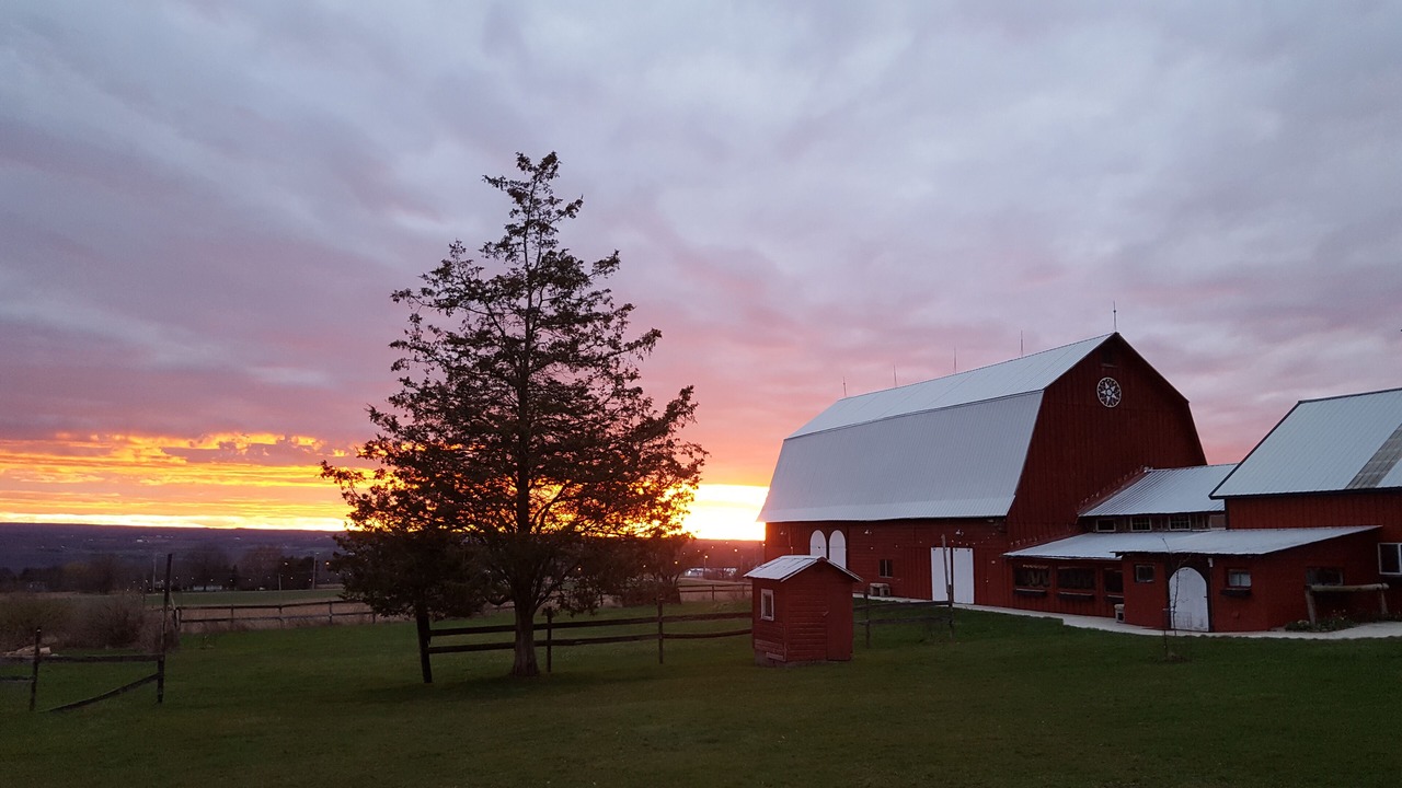 Photo of Outdoor in Lansing