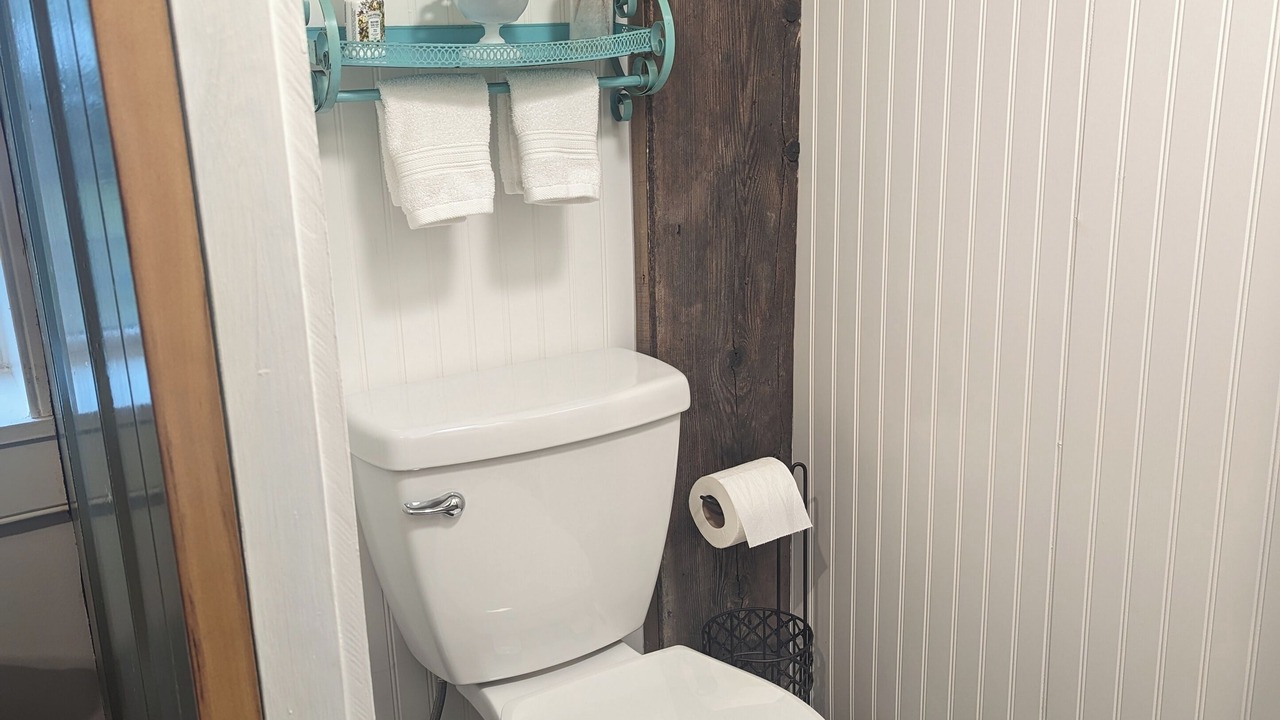 Photo of Bathroom in Lansing
