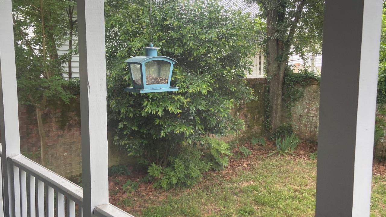 Photo of Outdoor in Selma