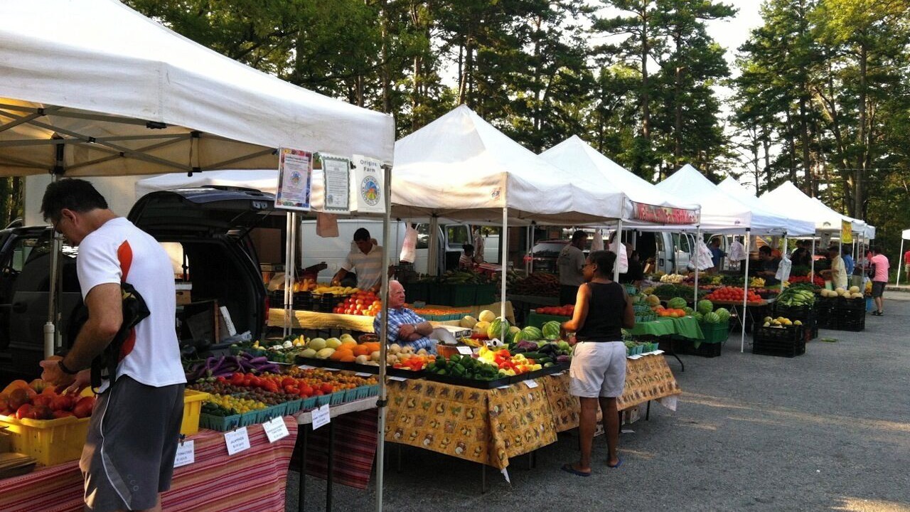 Photo of Outdoor in New Farm