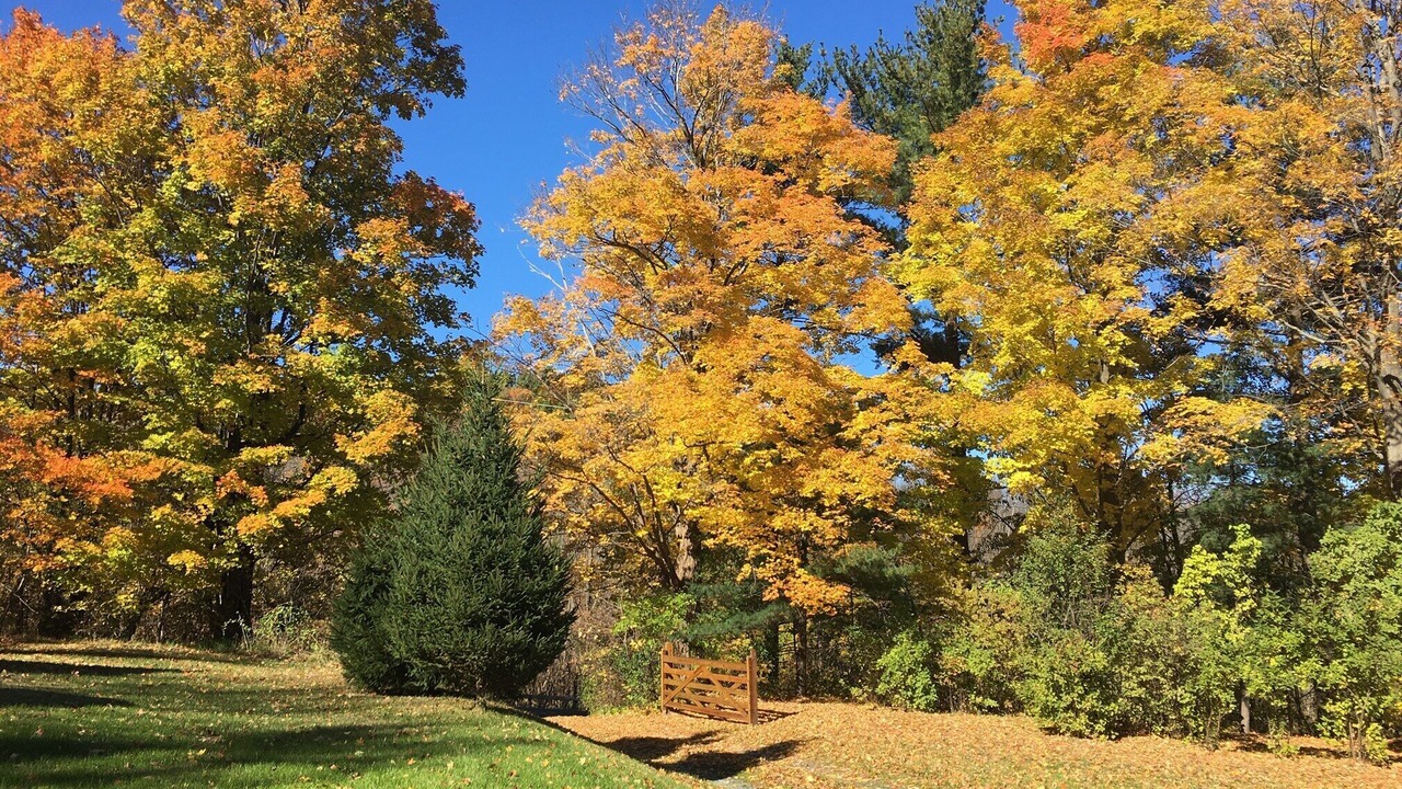 Photo of Outdoor in Grange Landing