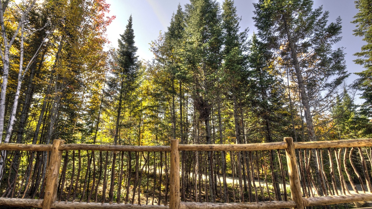Photo of Outdoor in La Malbaie