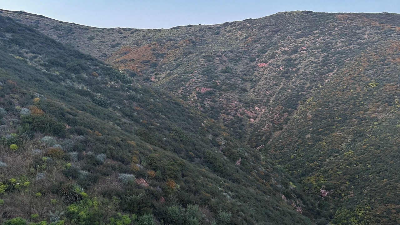 Photo of Others in Western Malibu