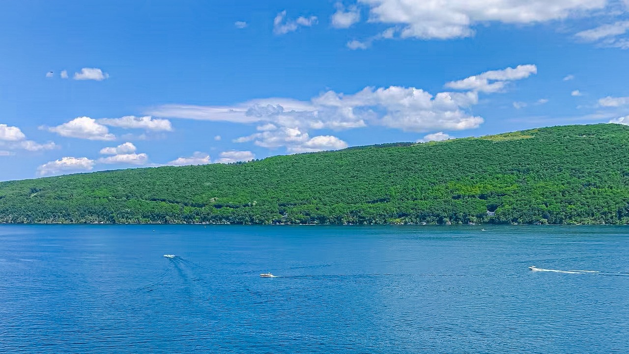 Photo of Others in Canandaigua
