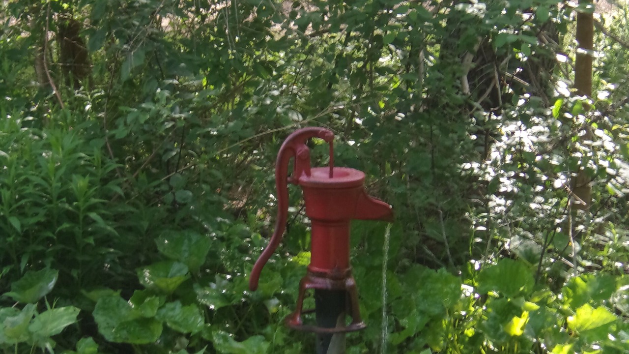 Photo of Others in Hornell