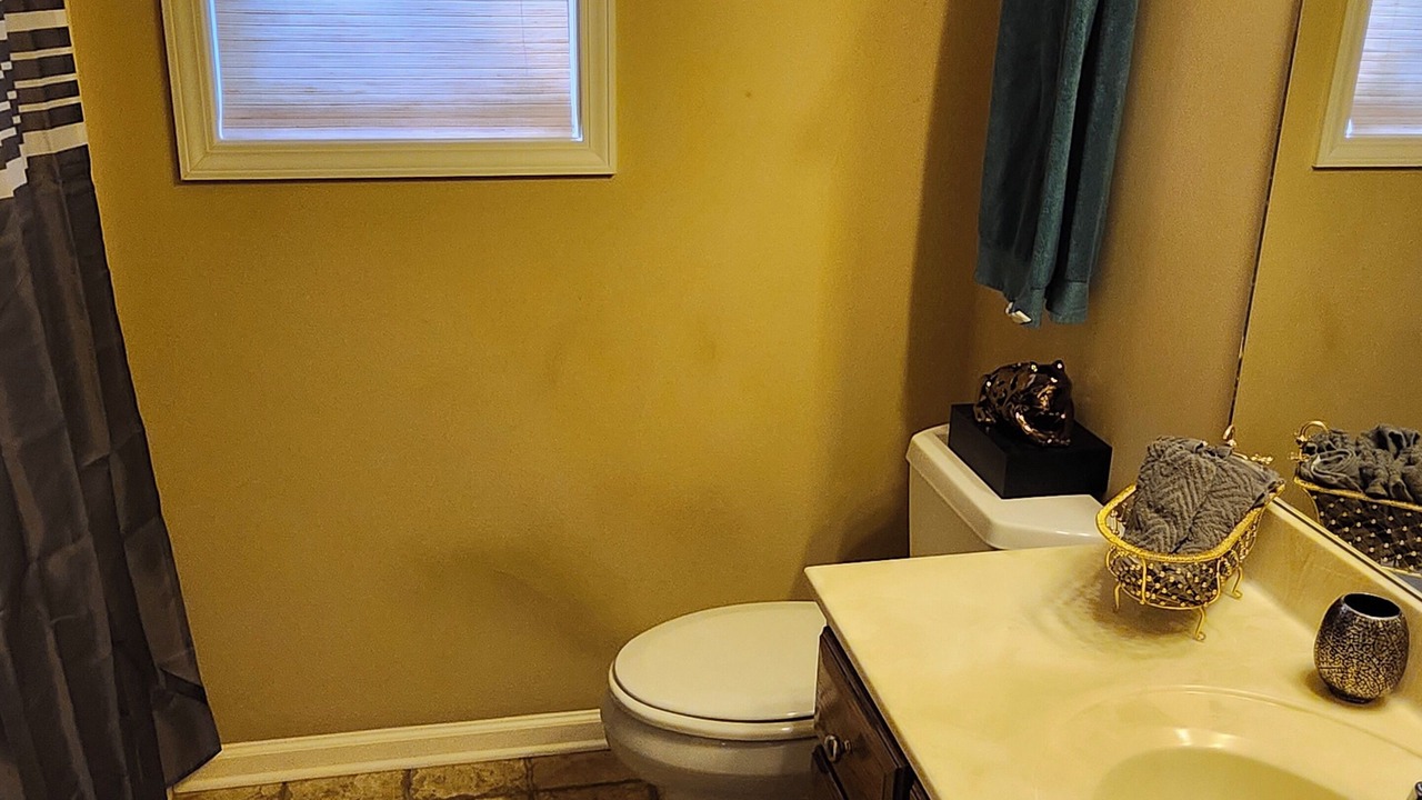 Photo of Bathroom in Jemison