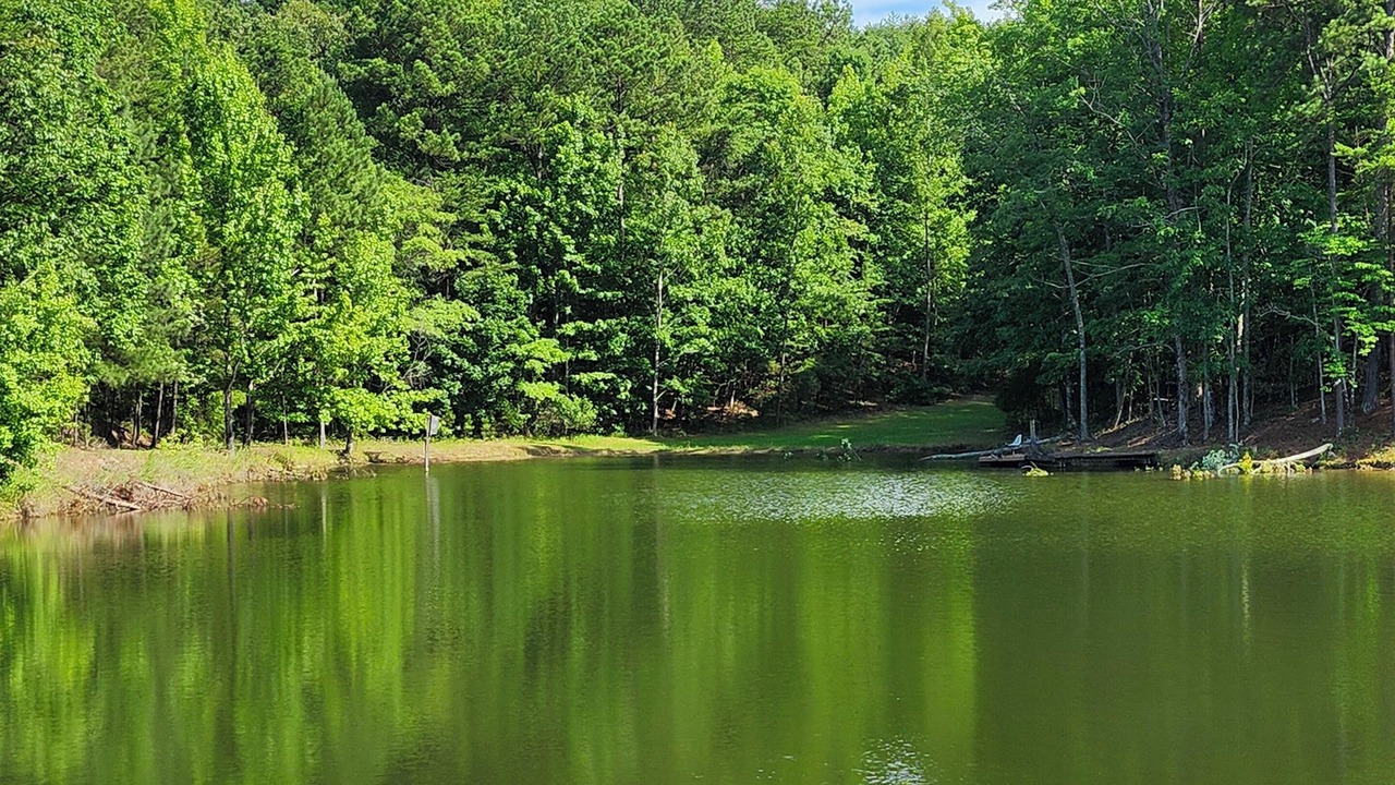 Photo of Outdoor in Jemison