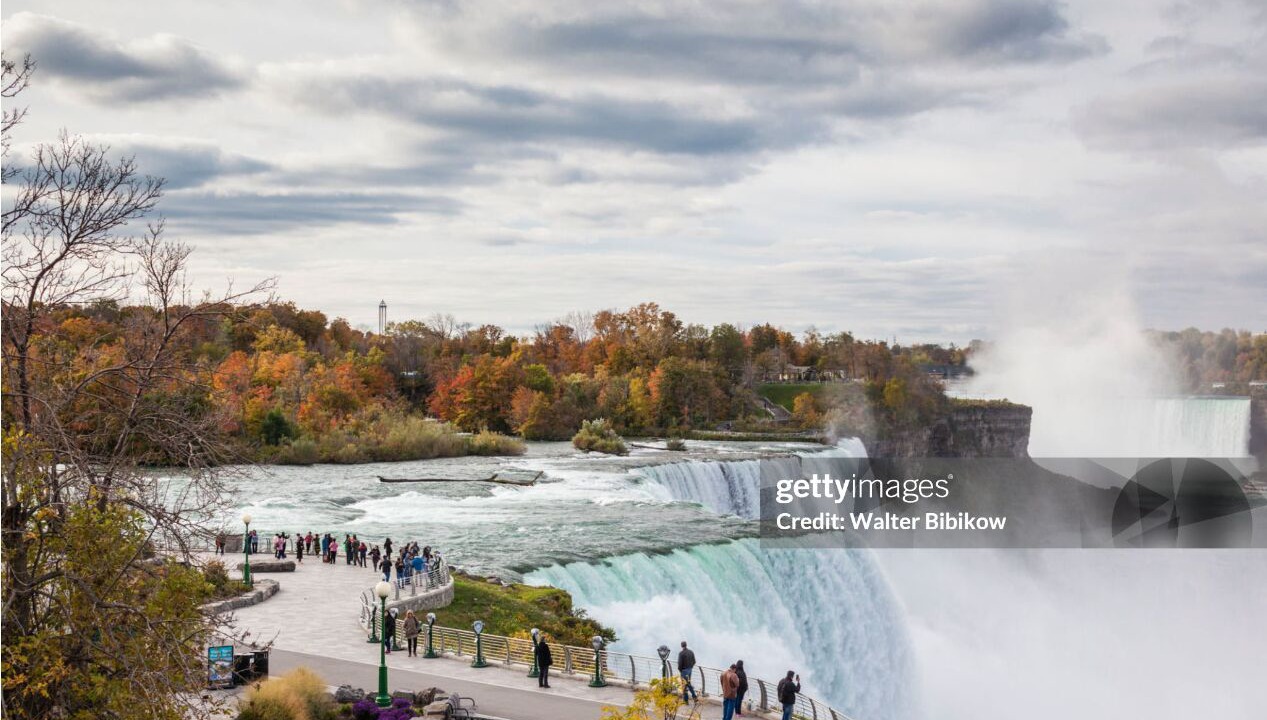 Photo of Others in North Buffalo