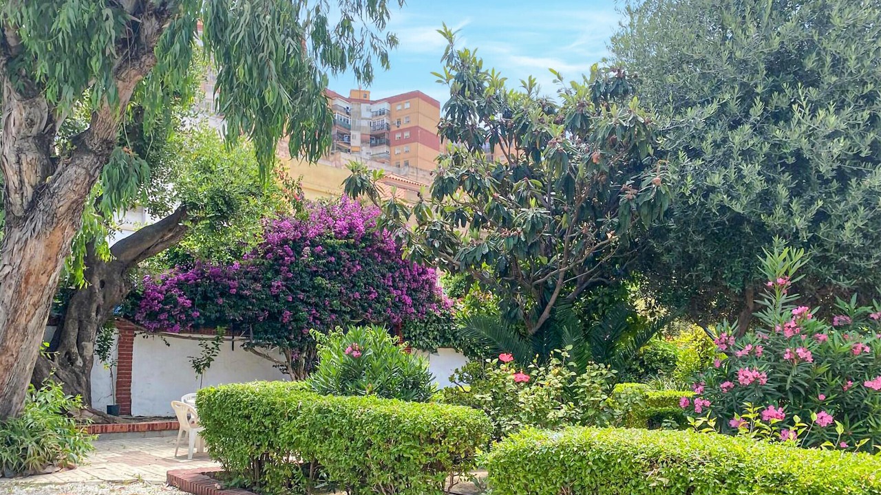 Photo of Others in Ciudad Jardin