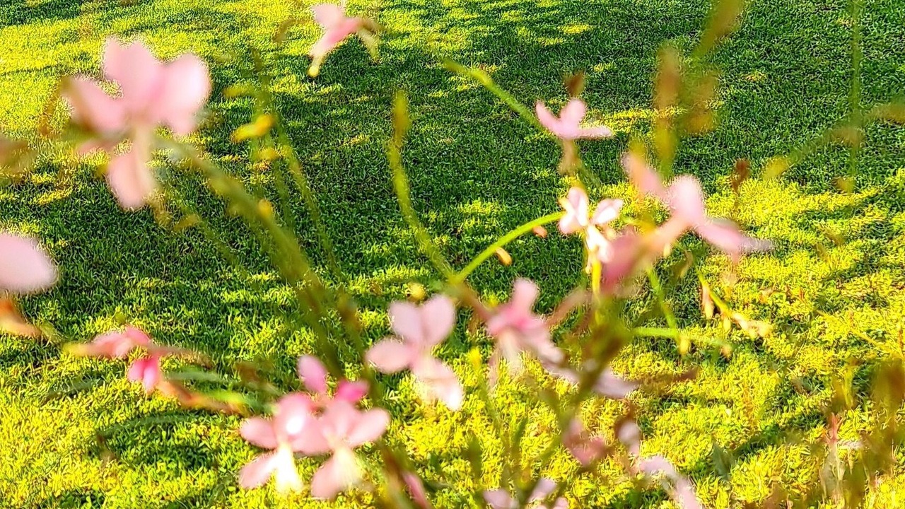 Photo of Outdoor in Nar