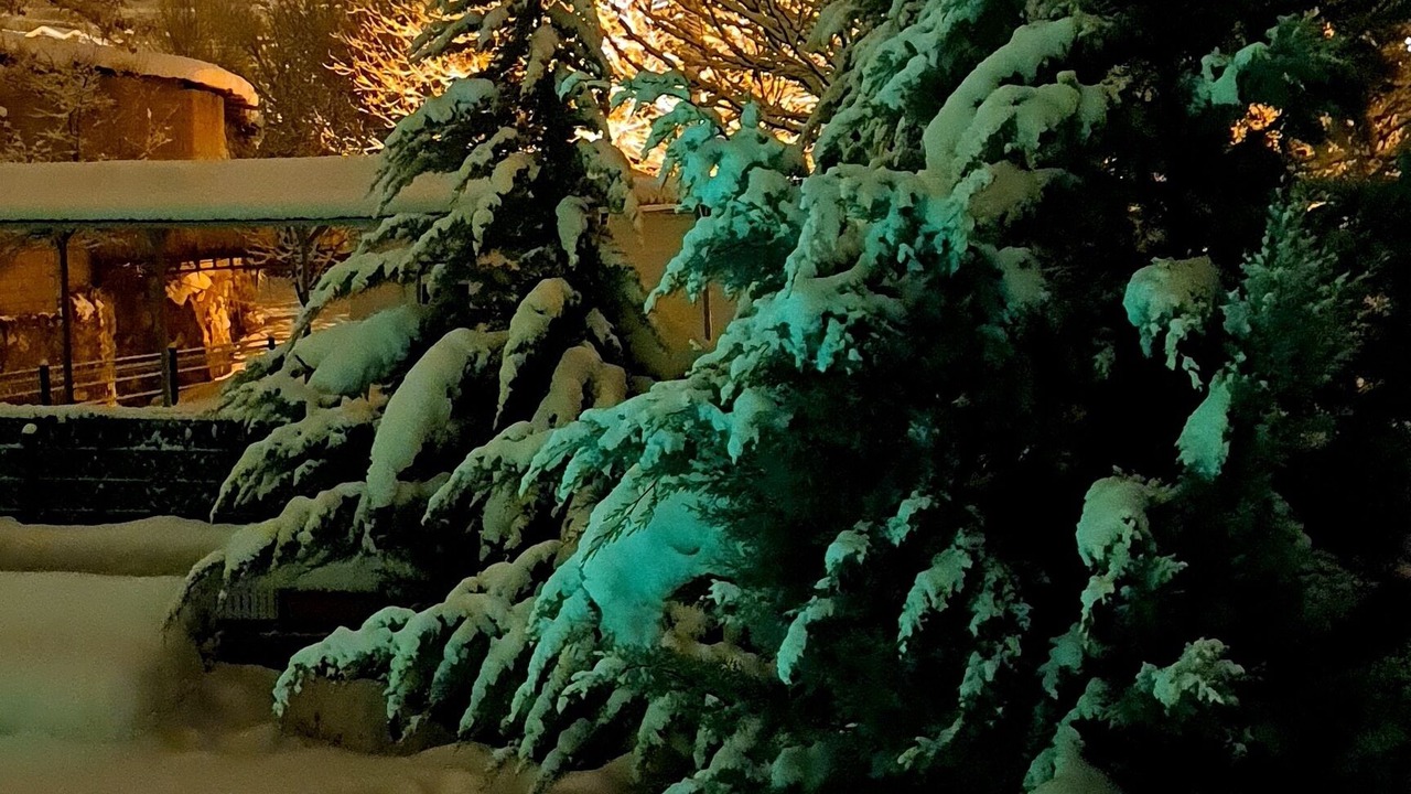 Photo of Outdoor in Nar