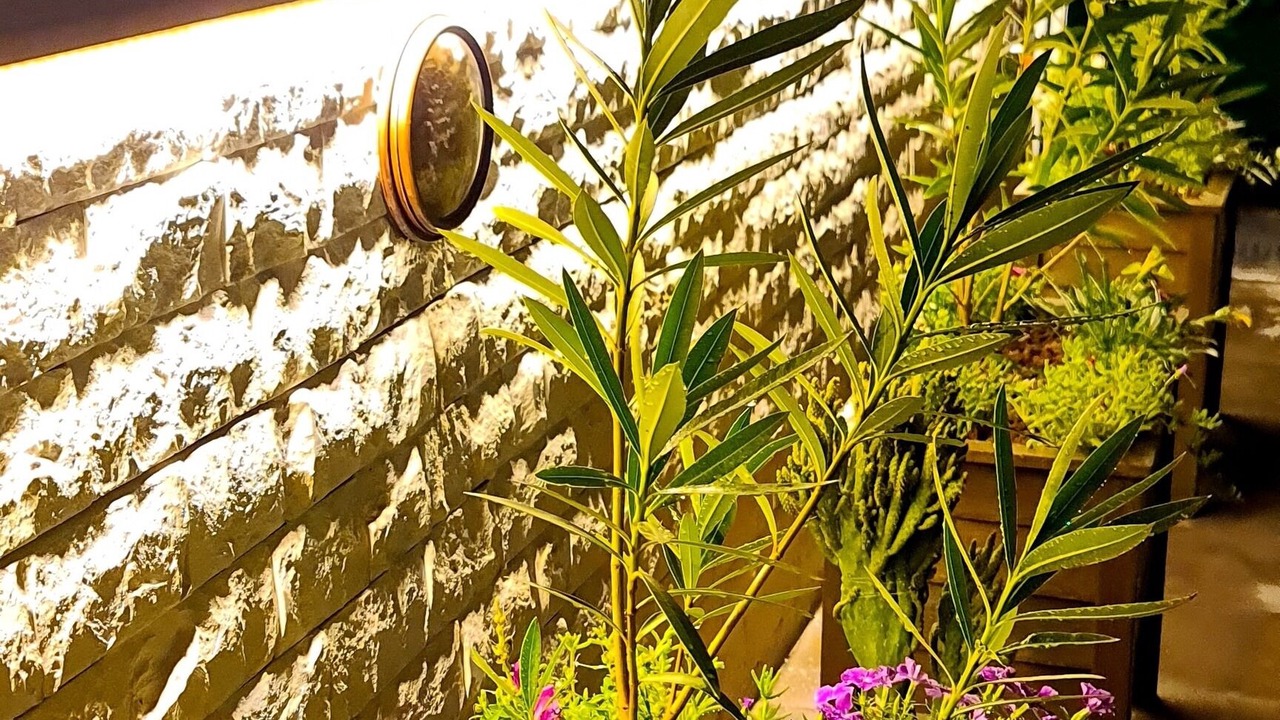 Photo of Outdoor in Nar