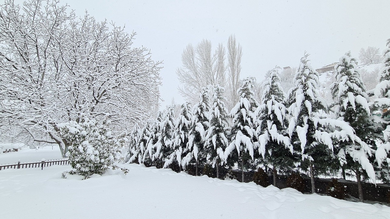 Photo of Outdoor in Nar