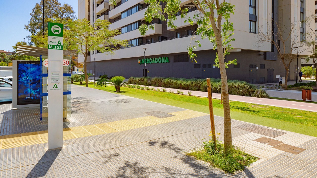 Photo of Outdoor in Palma-Palmilla