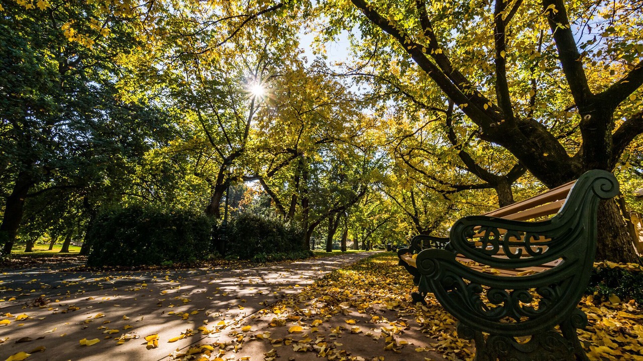 Photo of Others in Golden Square