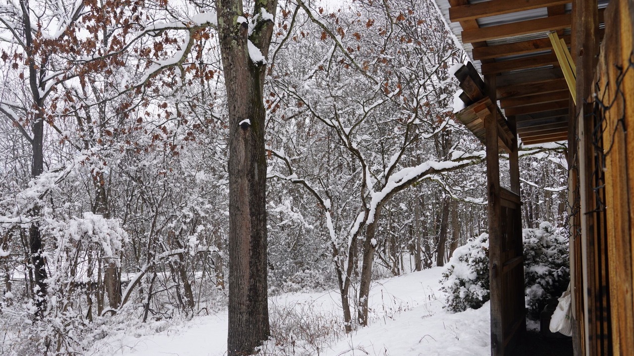 Photo of Outdoor in Port Jervis