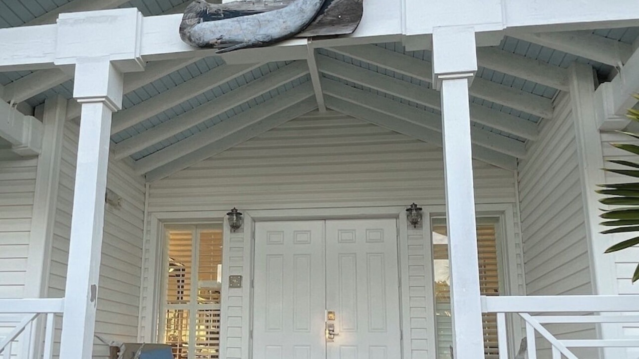 Photo of Outdoor in Alice Town