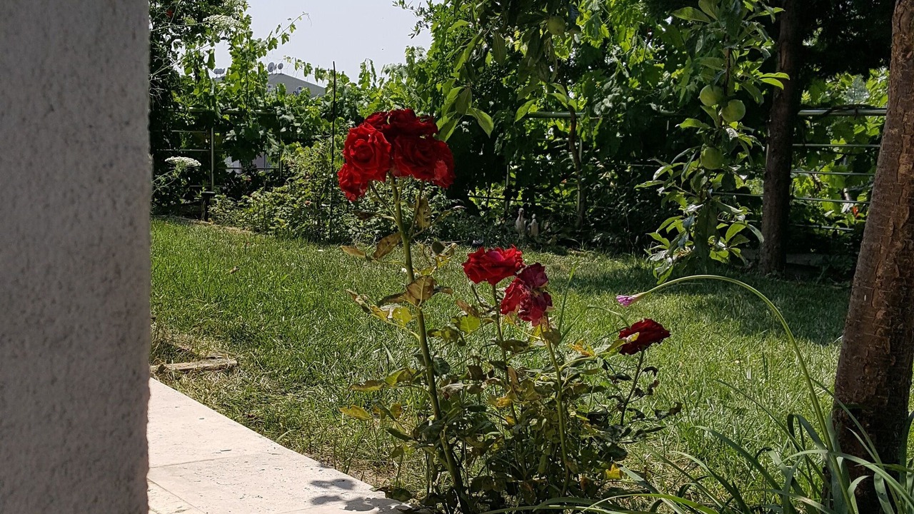 Photo of Outdoor in Buyukcekmece