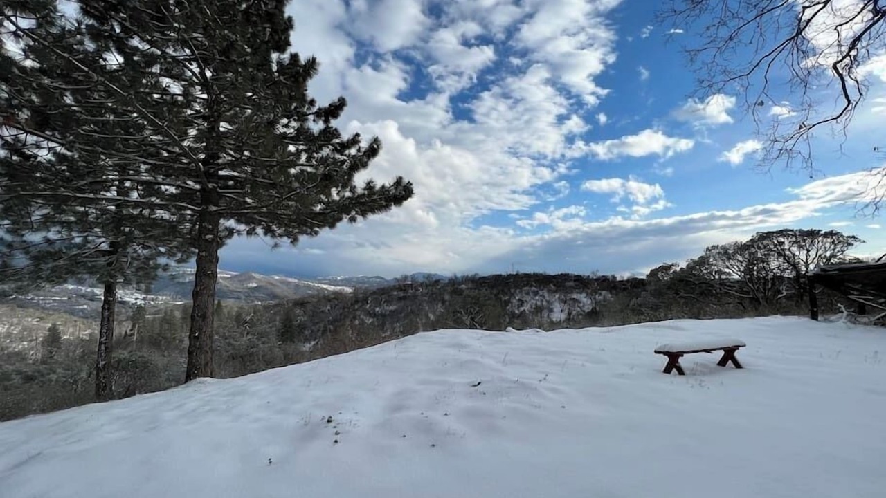 Photo of Outdoor in Dunlap